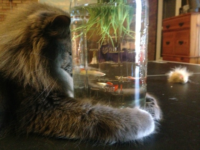 Bildschirmarbeiter - Picdump 13.02.2015