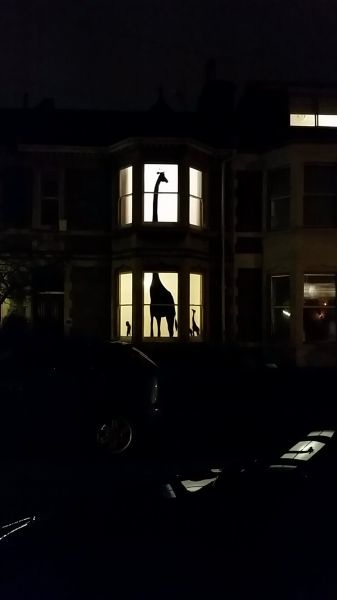 Bildschirmarbeiter - Picdump 20.02.2015