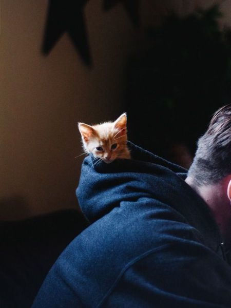 Bildschirmarbeiter - Picdump 20.02.2015