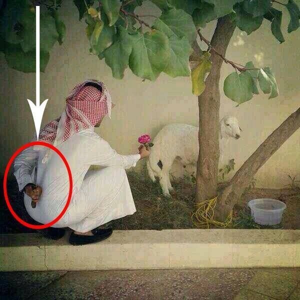 Bildschirmarbeiter - Picdump 20.02.2015