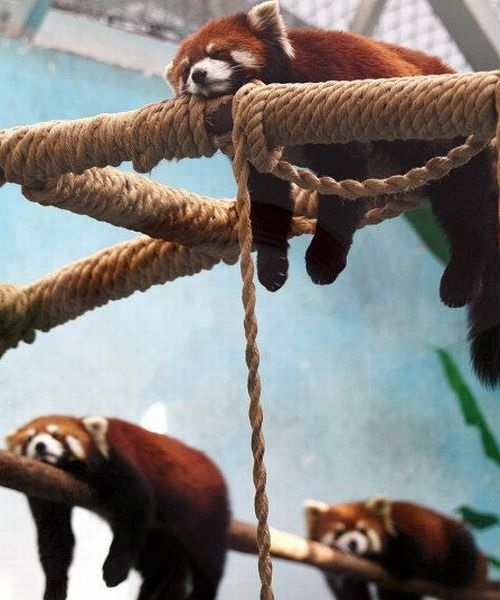 Bildschirmarbeiter - Picdump 20.02.2015