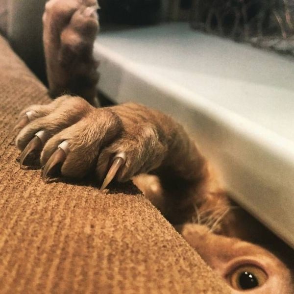 Bildschirmarbeiter - Picdump 20.02.2015