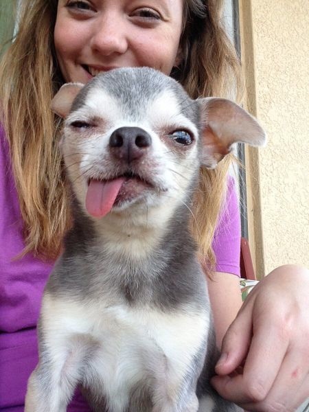 Bildschirmarbeiter - Picdump 20.02.2015