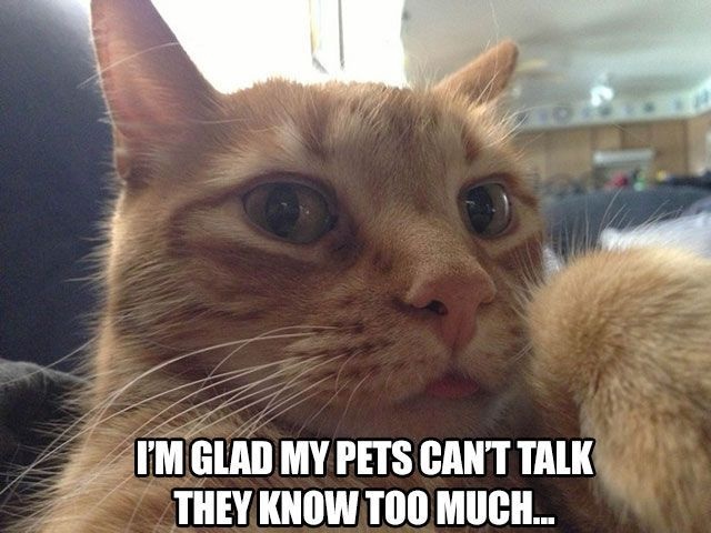 Bildschirmarbeiter - Picdump 20.02.2015