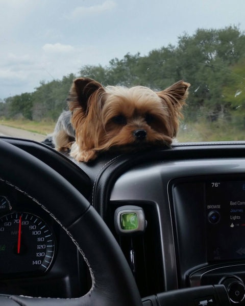 Bildschirmarbeiter - Picdump 20.02.2015