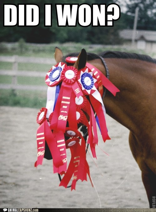 Bildschirmarbeiter - Picdump 20.02.2015