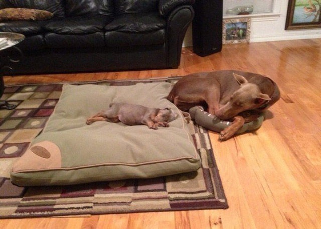 Bildschirmarbeiter - Picdump 20.02.2015