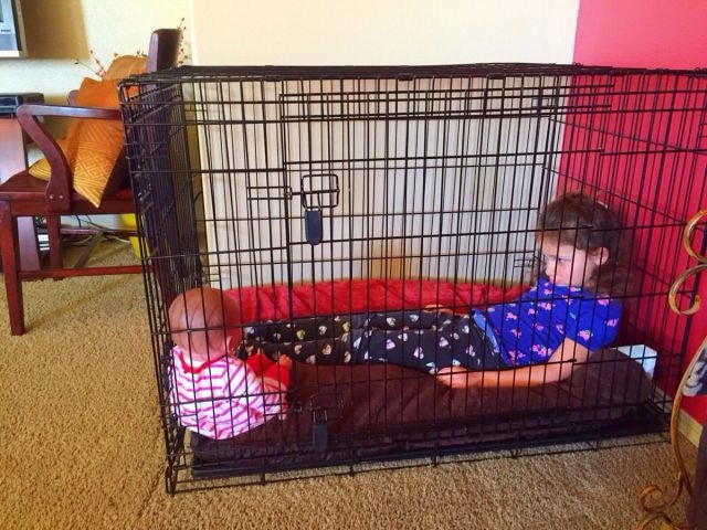 Bildschirmarbeiter - Picdump 20.02.2015