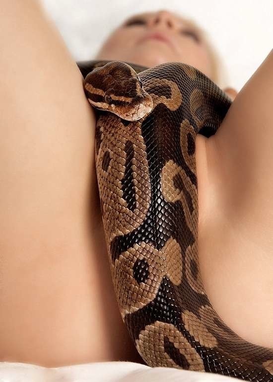 Bildschirmarbeiter - Picdump 20.02.2015