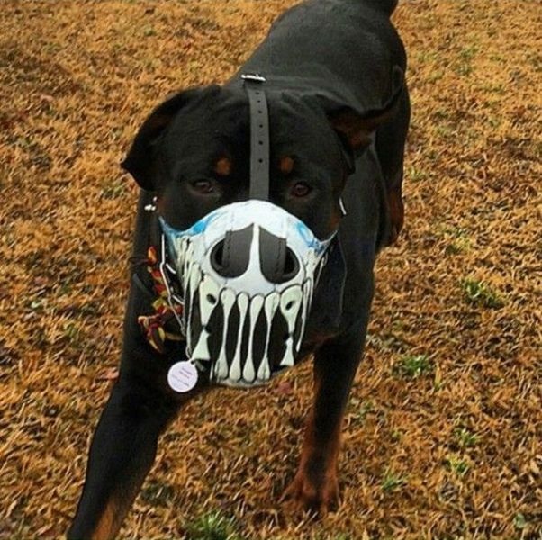 Bildschirmarbeiter - Picdump 20.02.2015