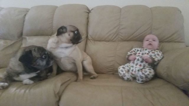 Bildschirmarbeiter - Picdump 27.02.2015