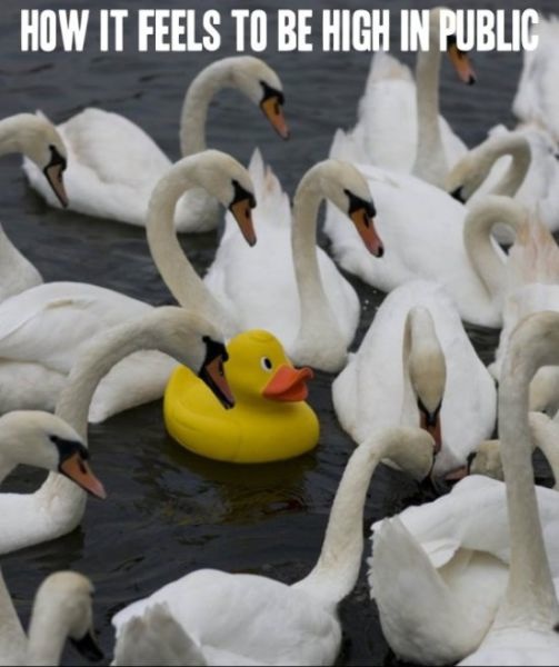 Bildschirmarbeiter - Picdump 27.02.2015