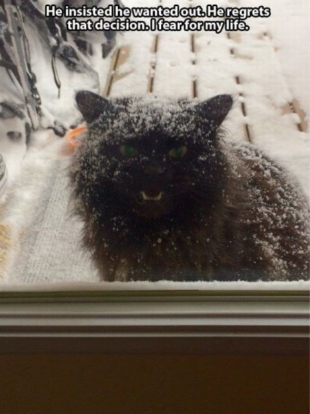 Bildschirmarbeiter - Picdump 27.02.2015