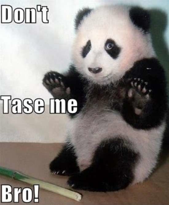 Bildschirmarbeiter - Picdump 27.02.2015