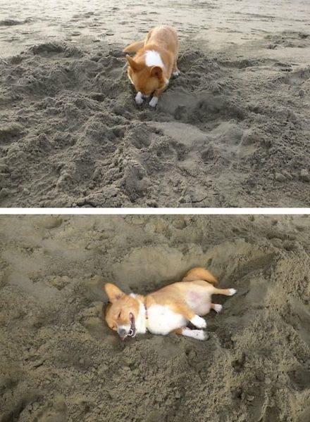 Bildschirmarbeiter - Picdump 27.02.2015