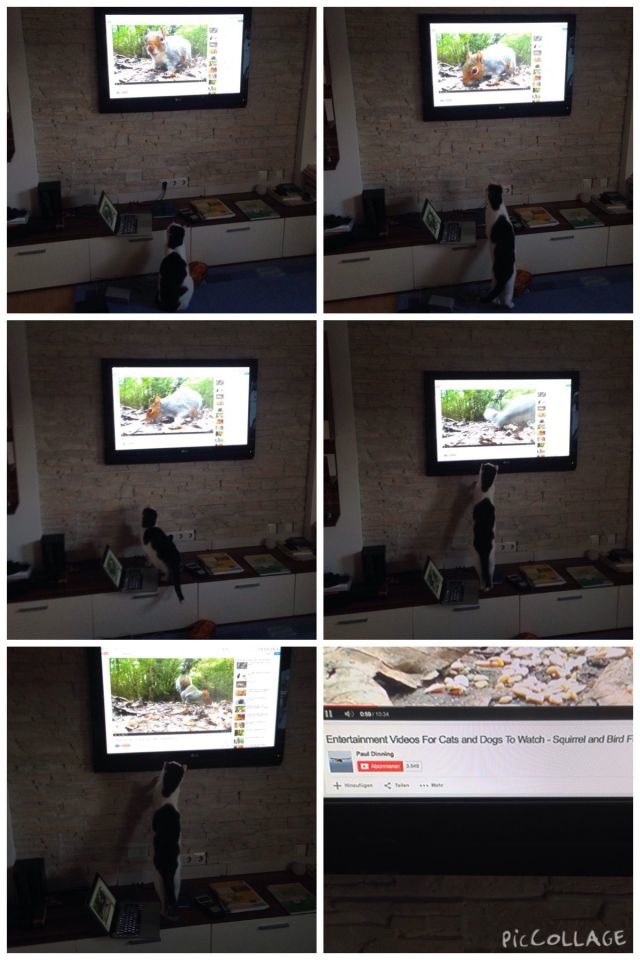 Bildschirmarbeiter - Picdump 27.02.2015