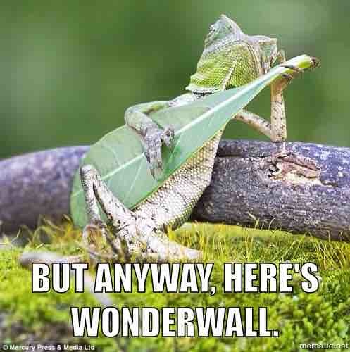 Bildschirmarbeiter - Picdump 06.03.2015