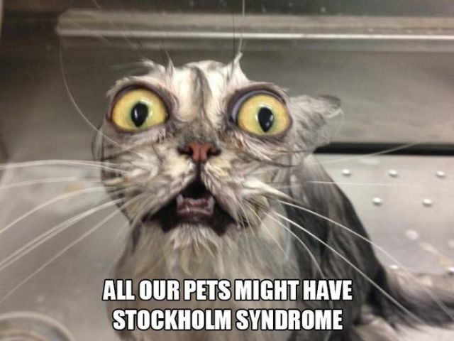 Bildschirmarbeiter - Picdump 06.03.2015