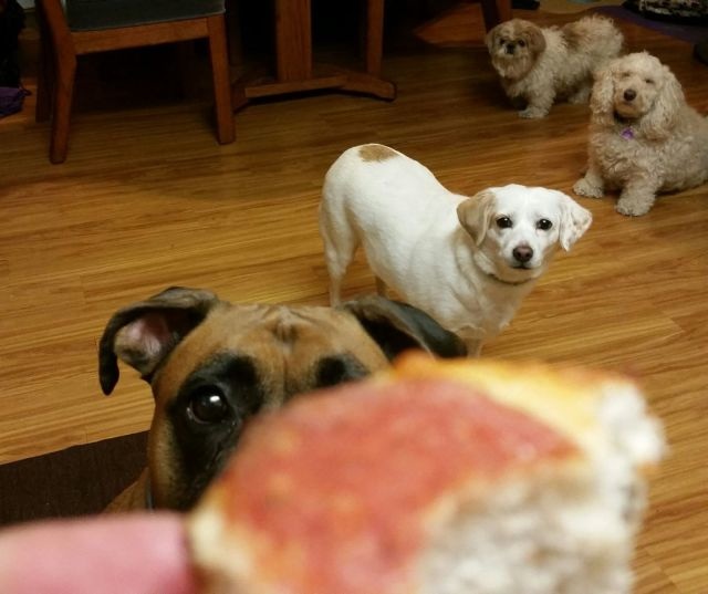 Bildschirmarbeiter - Picdump 06.03.2015