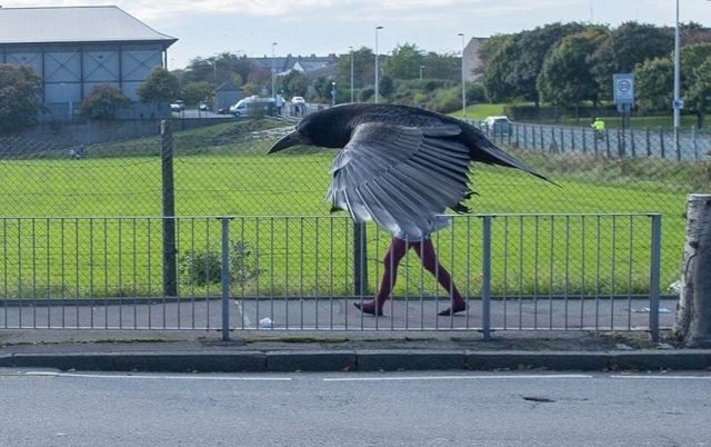 Bildschirmarbeiter - Picdump 06.03.2015