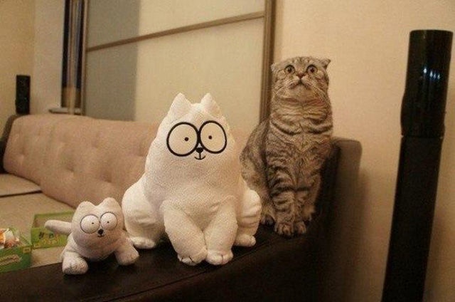 Bildschirmarbeiter - Picdump 06.03.2015