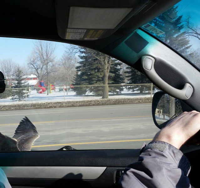 Bildschirmarbeiter - Picdump 06.03.2015