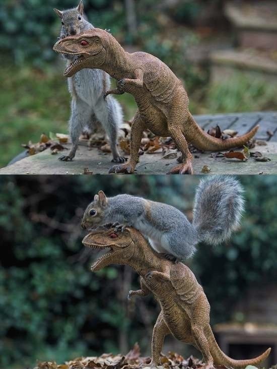 Bildschirmarbeiter - Picdump 06.03.2015