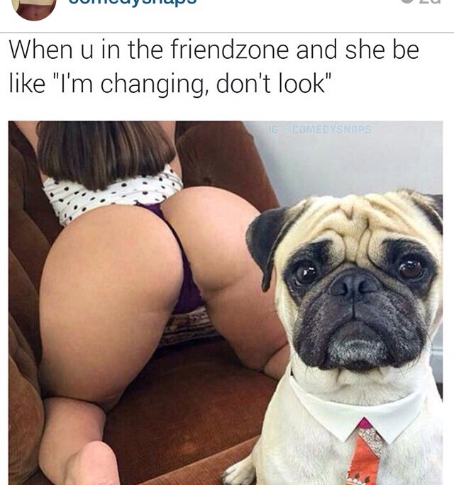 Bildschirmarbeiter - Picdump 06.03.2015