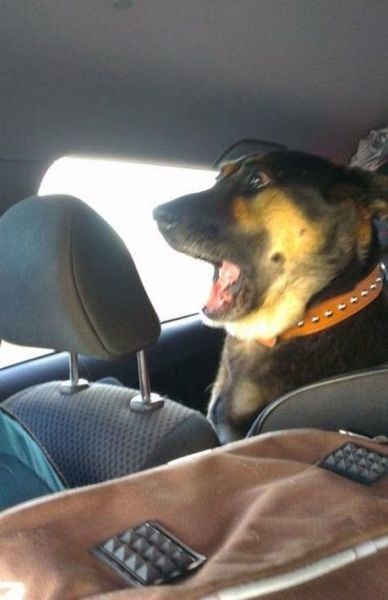 Bildschirmarbeiter - Picdump 13.03.2015