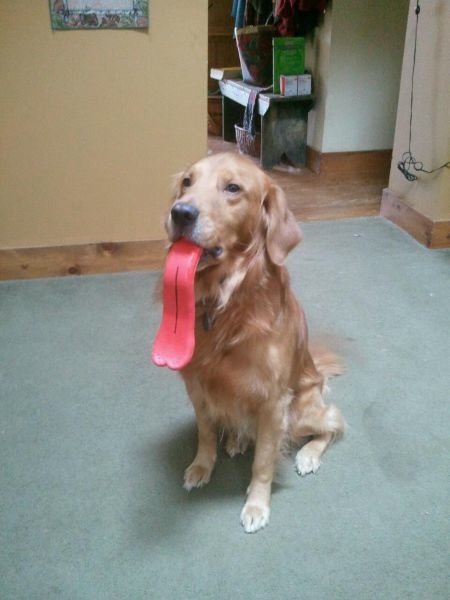 Bildschirmarbeiter - Picdump 13.03.2015