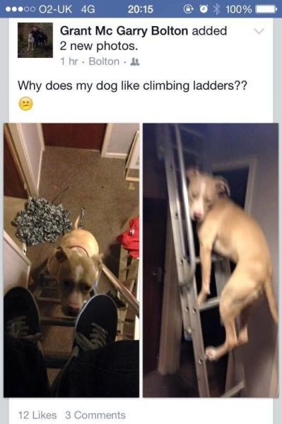 Bildschirmarbeiter - Picdump 13.03.2015