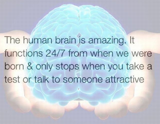 Bildschirmarbeiter - Picdump 13.03.2015