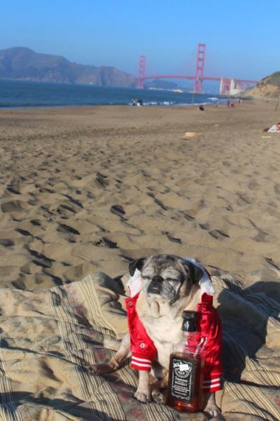 Bildschirmarbeiter - Picdump 13.03.2015