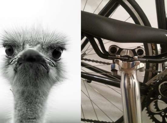 Bildschirmarbeiter - Picdump 13.03.2015