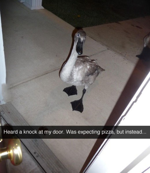 Bildschirmarbeiter - Picdump 13.03.2015