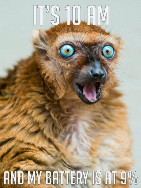 Bildschirmarbeiter - Picdump 13.03.2015