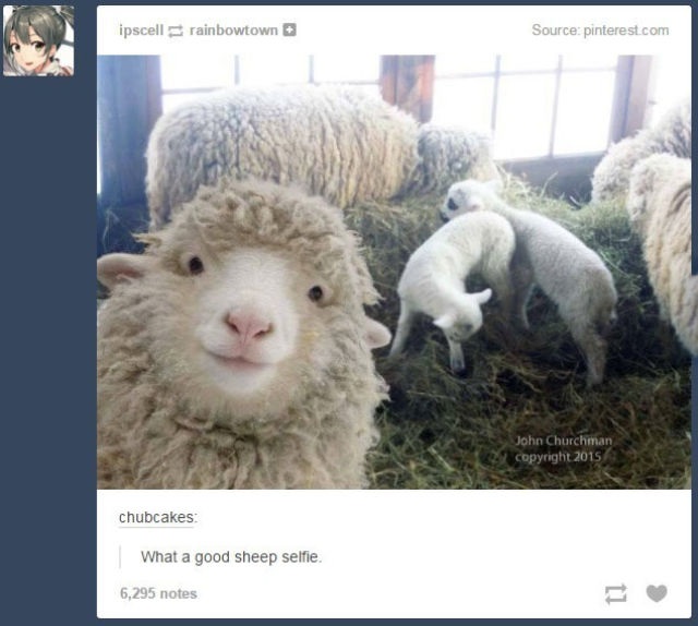 Bildschirmarbeiter - Picdump 13.03.2015