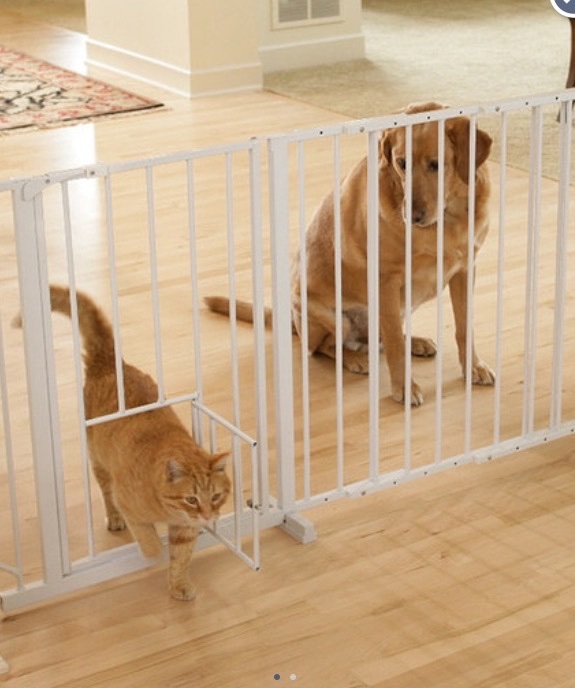 Bildschirmarbeiter - Picdump 13.03.2015