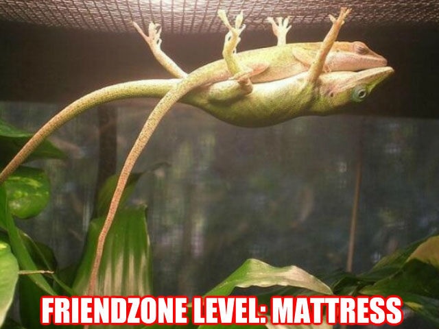 Bildschirmarbeiter - Picdump 13.03.2015