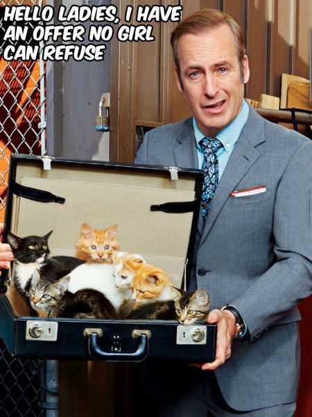 Bildschirmarbeiter - Picdump 13.03.2015