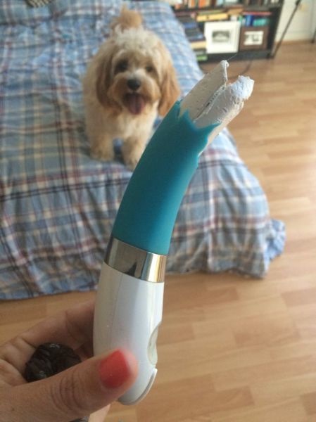 Bildschirmarbeiter - Picdump 20.03.2015