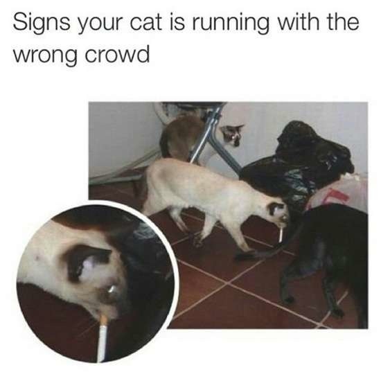 Bildschirmarbeiter - Picdump 20.03.2015