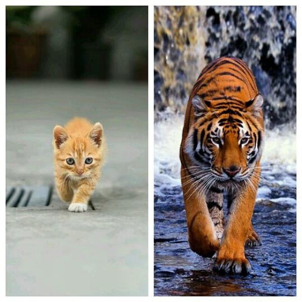 Bildschirmarbeiter - Picdump 20.03.2015