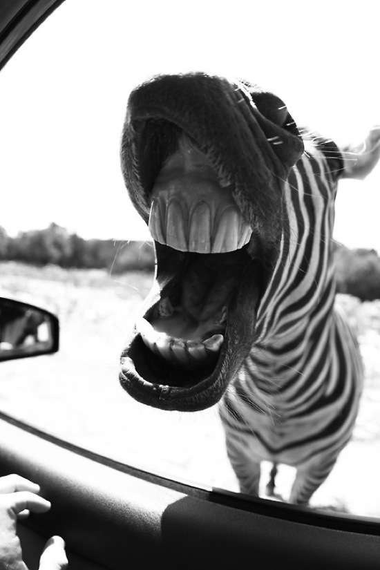 Bildschirmarbeiter - Picdump 20.03.2015