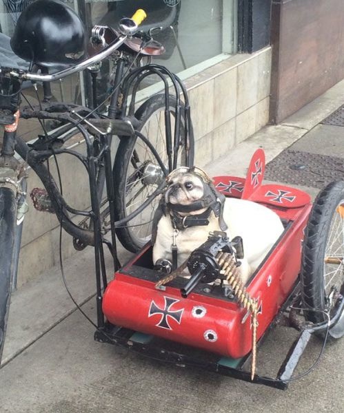 Bildschirmarbeiter - Picdump 20.03.2015