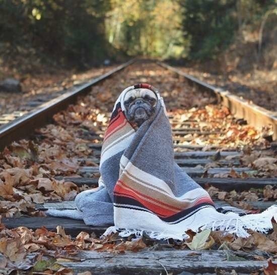 Bildschirmarbeiter - Picdump 20.03.2015