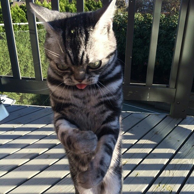 Bildschirmarbeiter - Picdump 20.03.2015