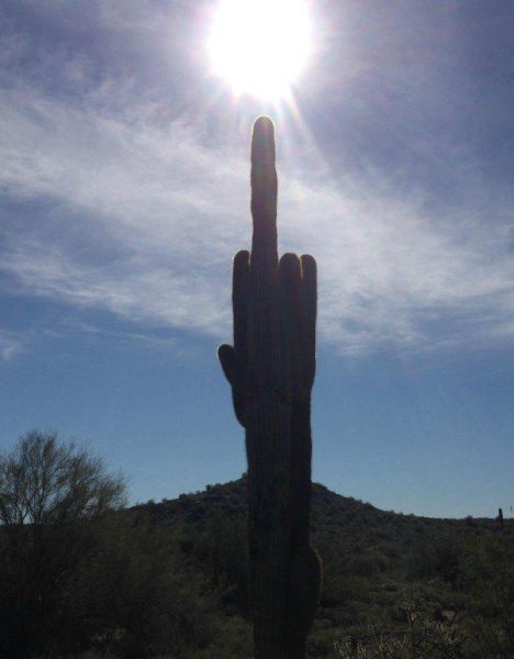 Bildschirmarbeiter - Picdump 27.03.2015