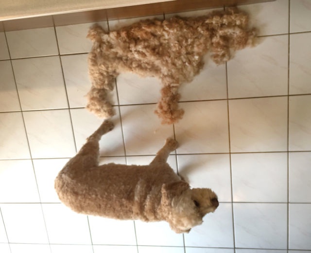 Bildschirmarbeiter - Picdump 27.03.2015