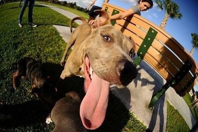 Bildschirmarbeiter - Picdump 27.03.2015